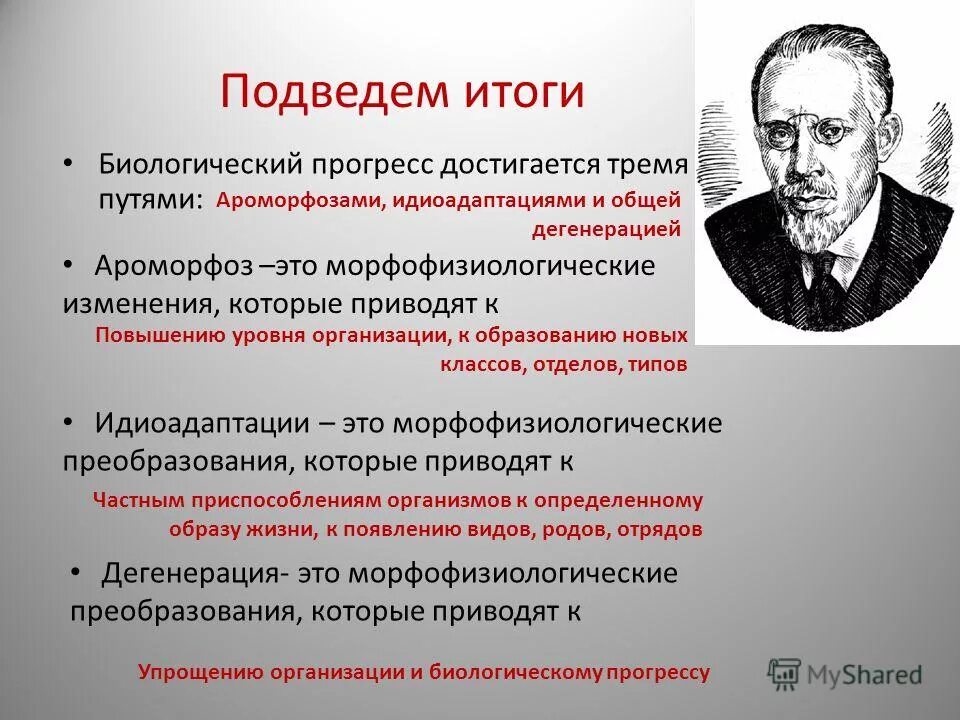 Пути достижения биологического прогресса общая дегенерация. Дегенерация приводит к биологическому регрессу. Биологический Прогресс и регресс Северцов. Основные направления эволюции Северцов. Направления эволюции биологический Прогресс.