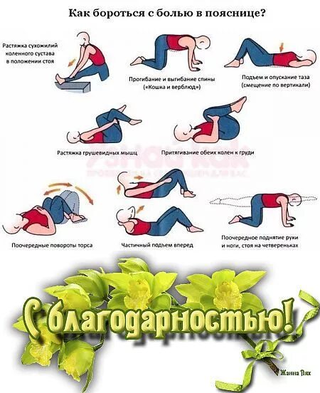 Как вылечить поясницу
