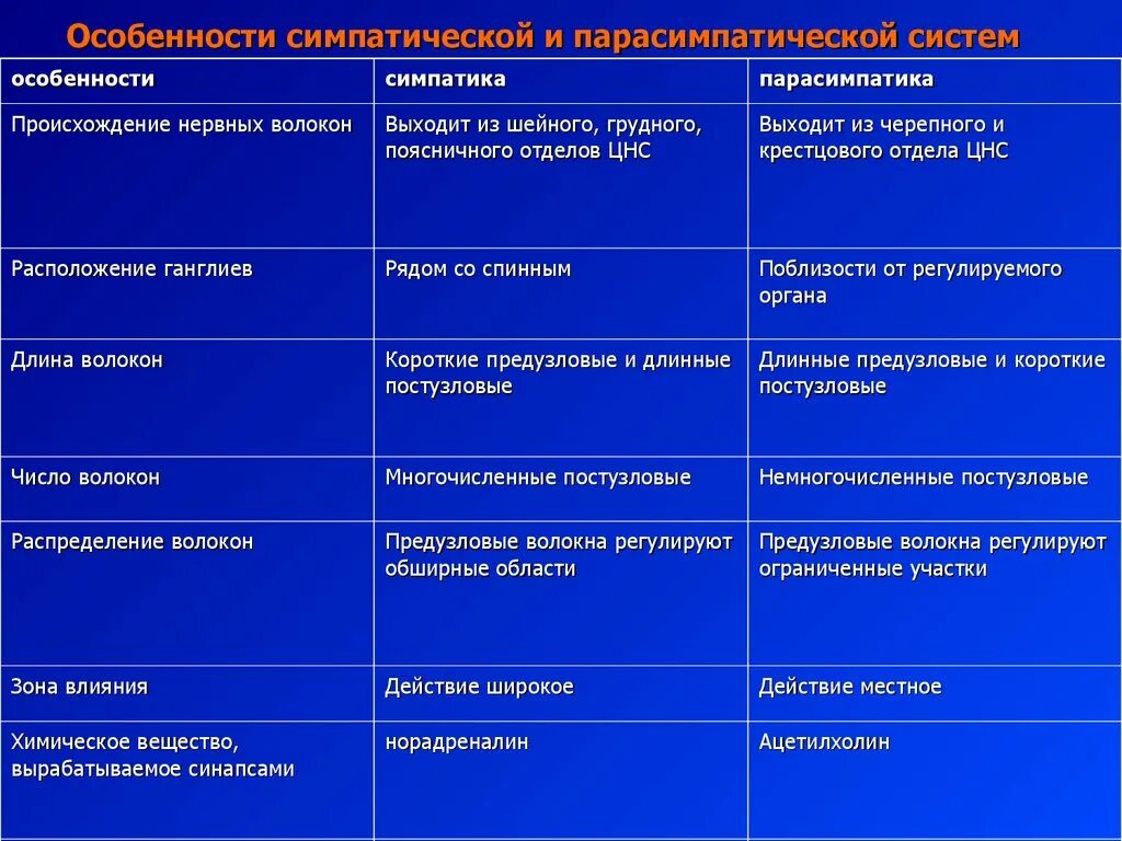 Действия симпатического и парасимпатического отделов. Парасимпатическая система и симпатическая система. Симпатическая и парасимпатическая нервная система таблица. Симпатическая и вегетативная нервная система таблица. Строение отделов вегетативной нервной системы таблица.