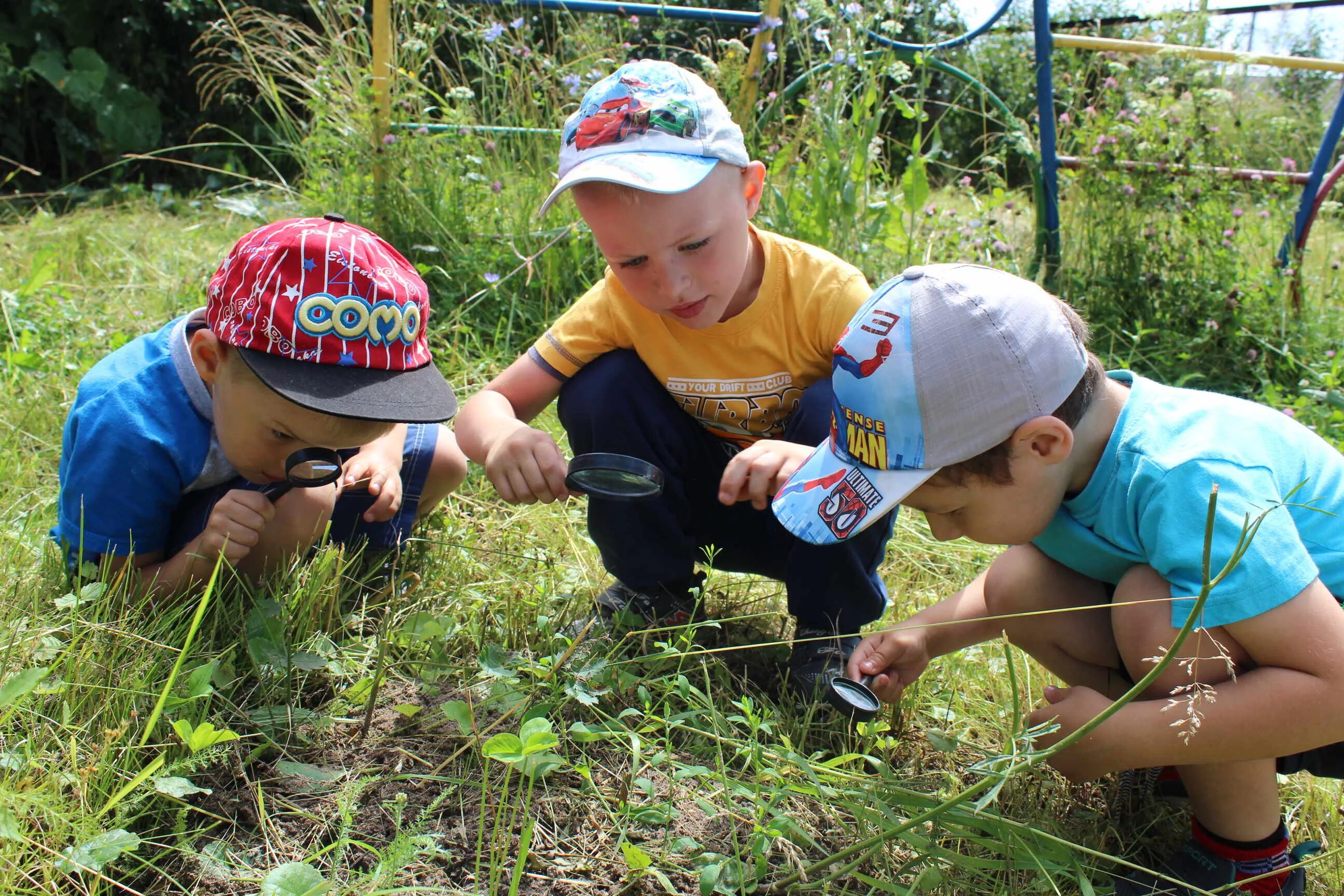 Какие наблюдения вы проводили в природе. Наблюдение детей в природе. Наблюдение в саду летом. Дети наблюдают за природой. Наблюдение за насекомыми.