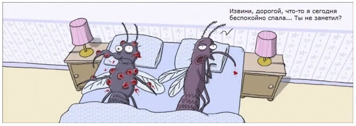 Насекомые юмор. Комары юмор. Комар карикатура. Спокойной ночи с комаром.