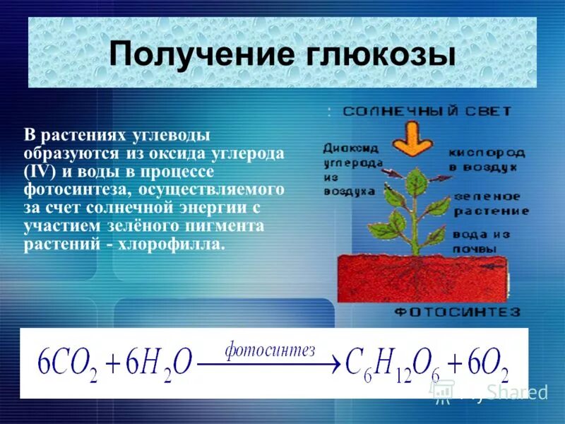 Глюкоза в воде образует. Образование Глюкозы в растениях. Глюкоза в растениях образуется. Реакция фотосинтеза уравнение. Образование Глюкозы фотосинтез.