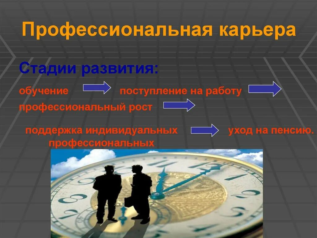 Что является профессиональной карьерой