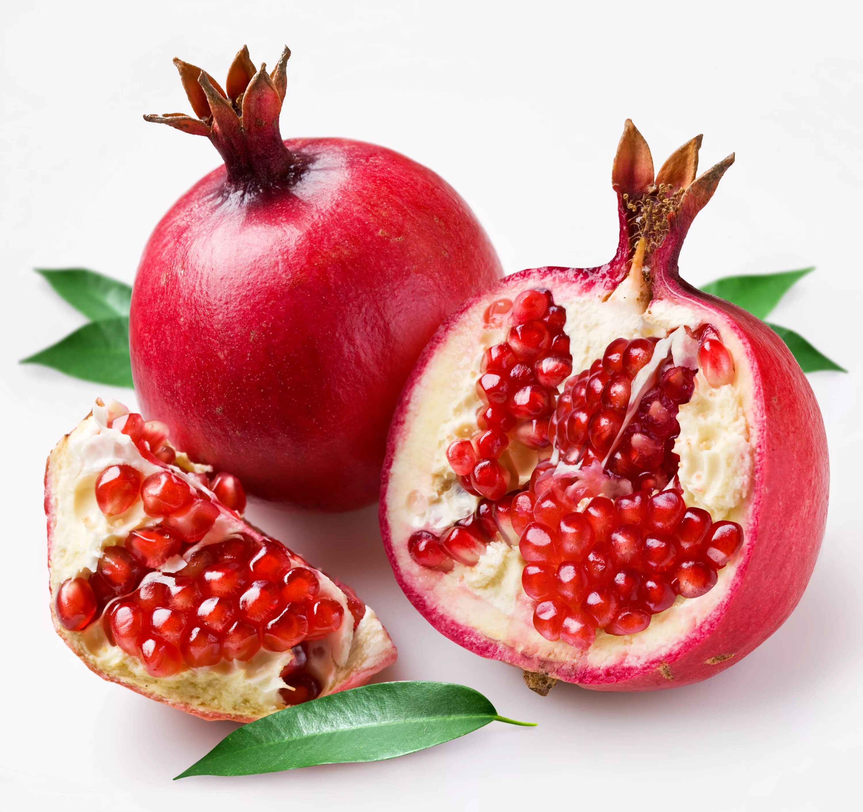 Гранат Помегранате. Гранат Гюлейша. Гранат сокотранский. Pomegranate (Punica granatum). Граната фруктовый