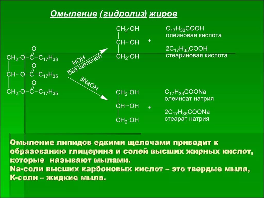 Полный гидролиз жиров. Омыление жиров кислотный гидролиз. Кислотный гидролиз олеиновой жира. Омыление липидов. Гидролиз липидов формула.