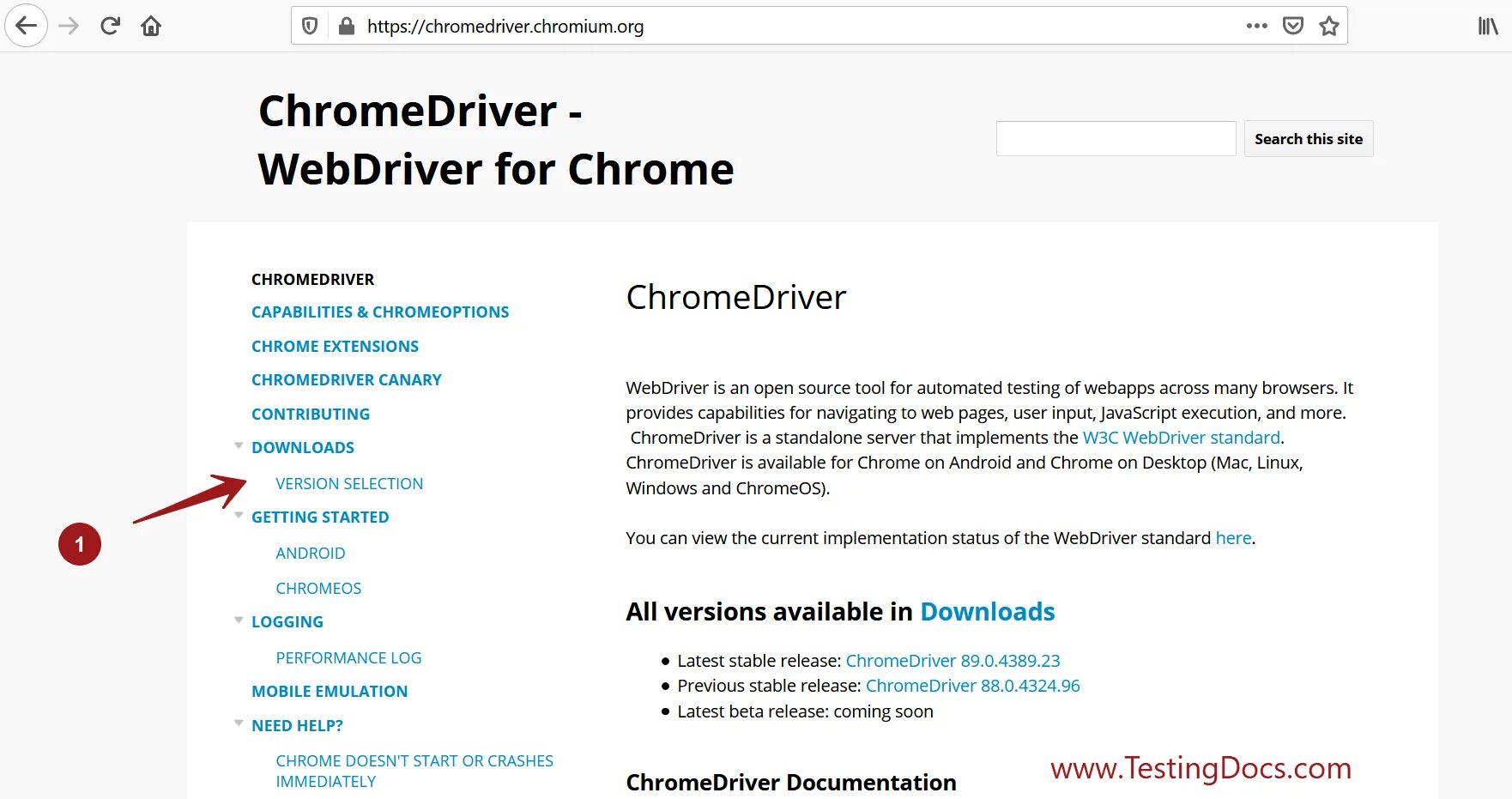 Драйвера chrome. WEBDRIVER Chrome. Chrome Driver. Chrome Driver for Selenium. Chrome Cannon.