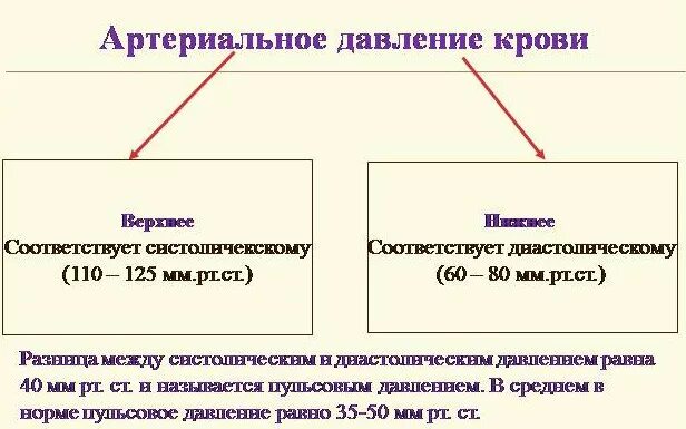 Норма между верхним и нижним артериальным давлением разница. Разница между верхним и нижним. Разница между верхними и нижними показателями давления. Разница между верхним и нижним давлением норма.