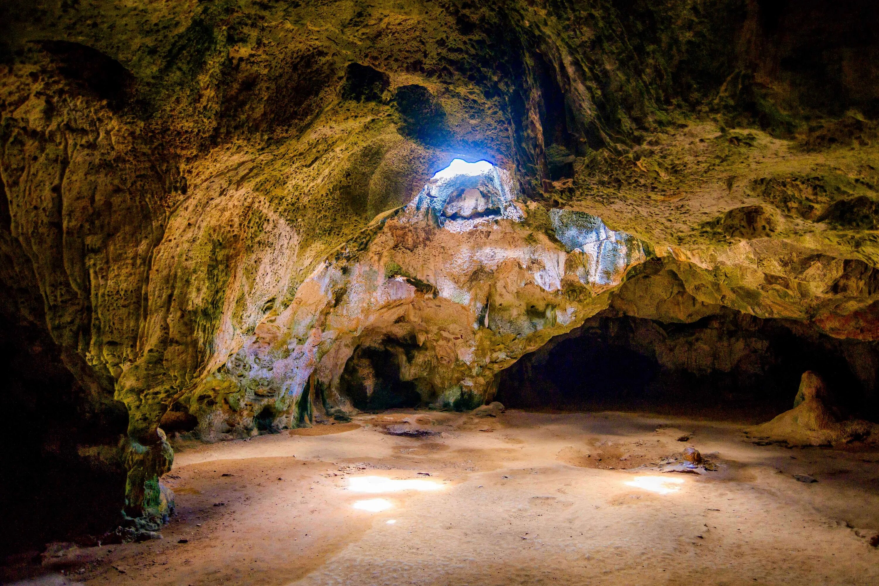 Cave v. Пещера Морганс-Кейв. Лаклинская пещера. Пещеры парк «Кейв-Хилл» в Белфасте. Пещера Дзудзуана.