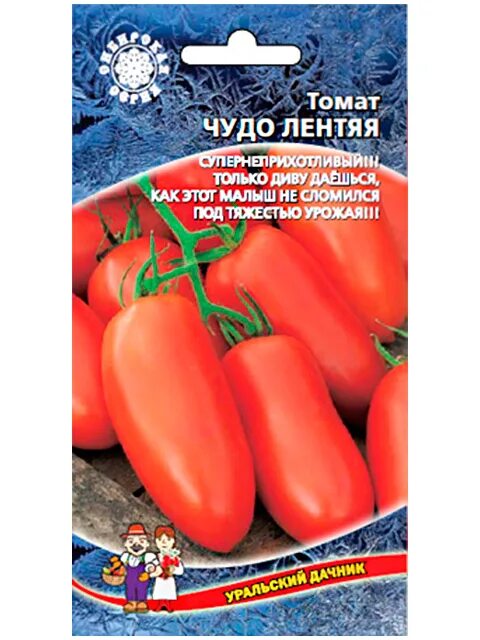 Томат чудо лентяя Уральский Дачник. Сорт помидор чудо лентяя. Томат чудо лентяя семена. Чудо лентяя томат описание.