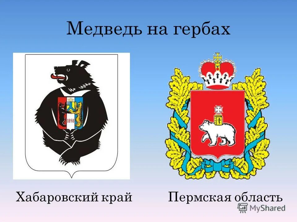 Описание пермского герба. Герб с медведем. Медведь на гербе Пермского края.