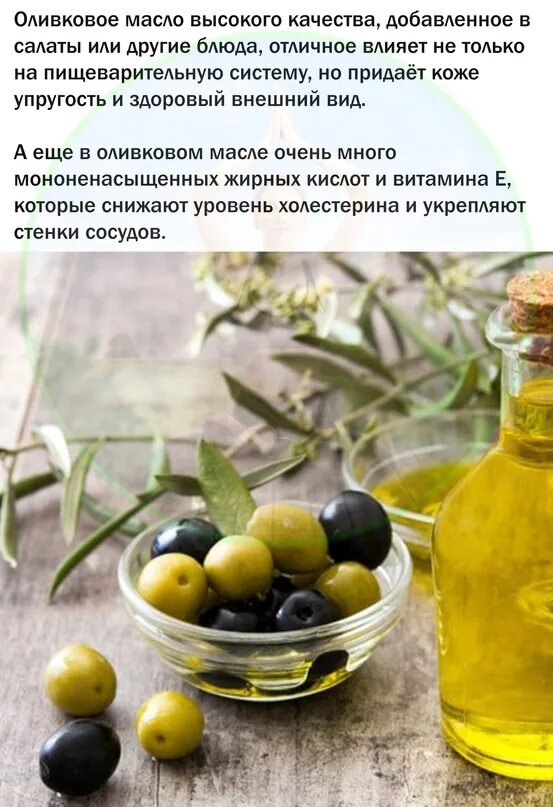 Полифенолы в маслах. Масло phenol. Оливковое масло применение. Макро масло оливкое.