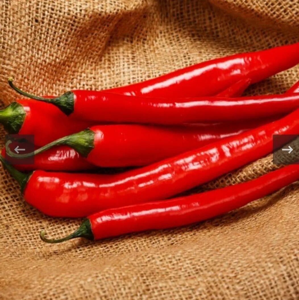 перец острый астраханский 147. перец горький астраханский. перец астраханский 147. перец горький астраханский. перец острый астраханский 147 поиск.