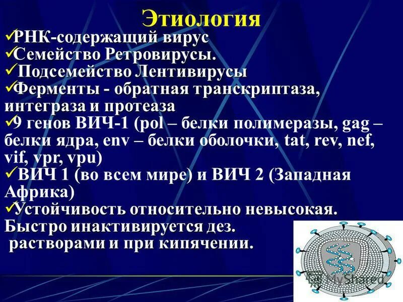 ВИЧ инфекция ретровирус. ВИЧ ДНК или РНК содержащий вирус. РНК содержащие вирусы. Вирус СПИДА содержит.