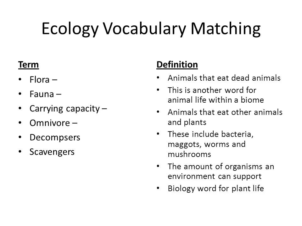 Ecology vocabulary