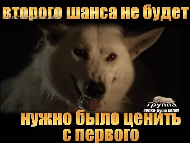 Второй шанс не даю пусть ценят с первого. Не давай второй шанс пусть. Не давайте 2 шанс пусть ценят с первого. Не давай никому второй шанс пусть ценят с первого.