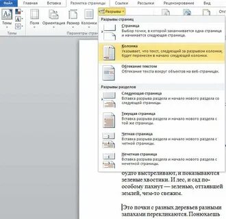 Как поделить текст на колонки в ворде