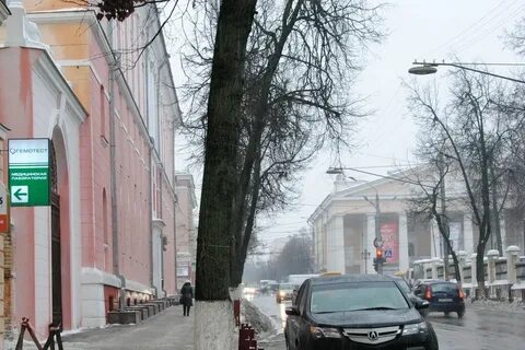 Гемотест брянск