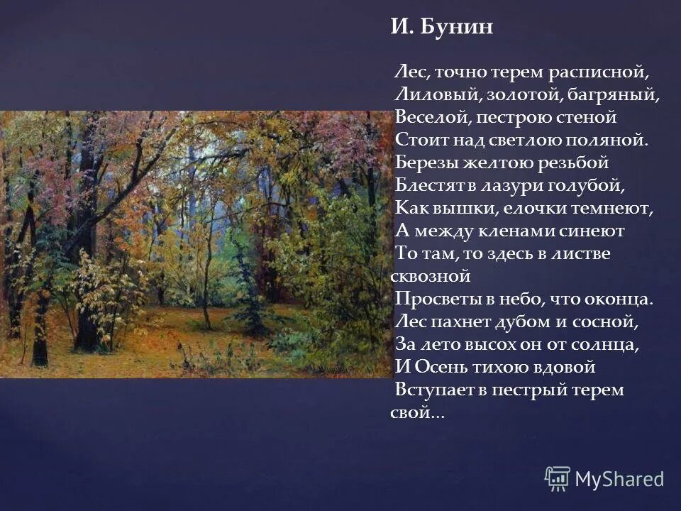 рассказ как я был в лесу летом. лиловый золотой. берегите природу сочинение. книги детских писателей о природе. рассказы о природе.