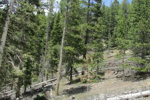 Thumbnail for version as of 23:14, 21 June 2022. 