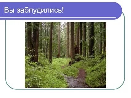 Экскурсия в лес презентация