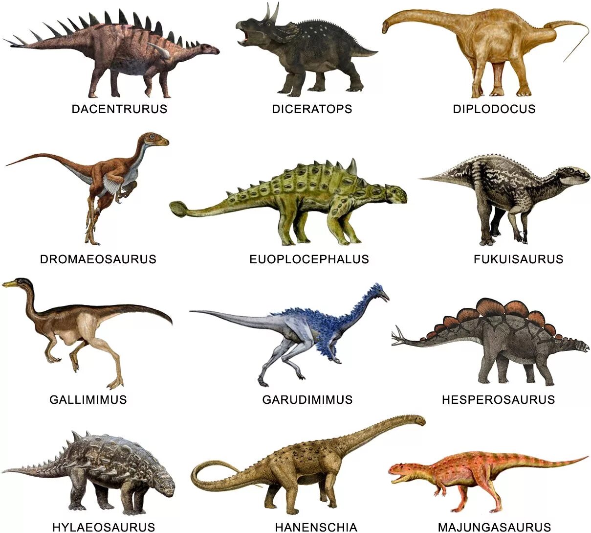 Разные динозавры. Динозавры названия. Название всех динозавров. Динозавры названия с картинками для детей. Динозавр форма