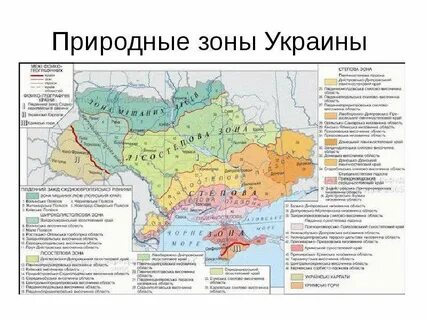 Зона украины