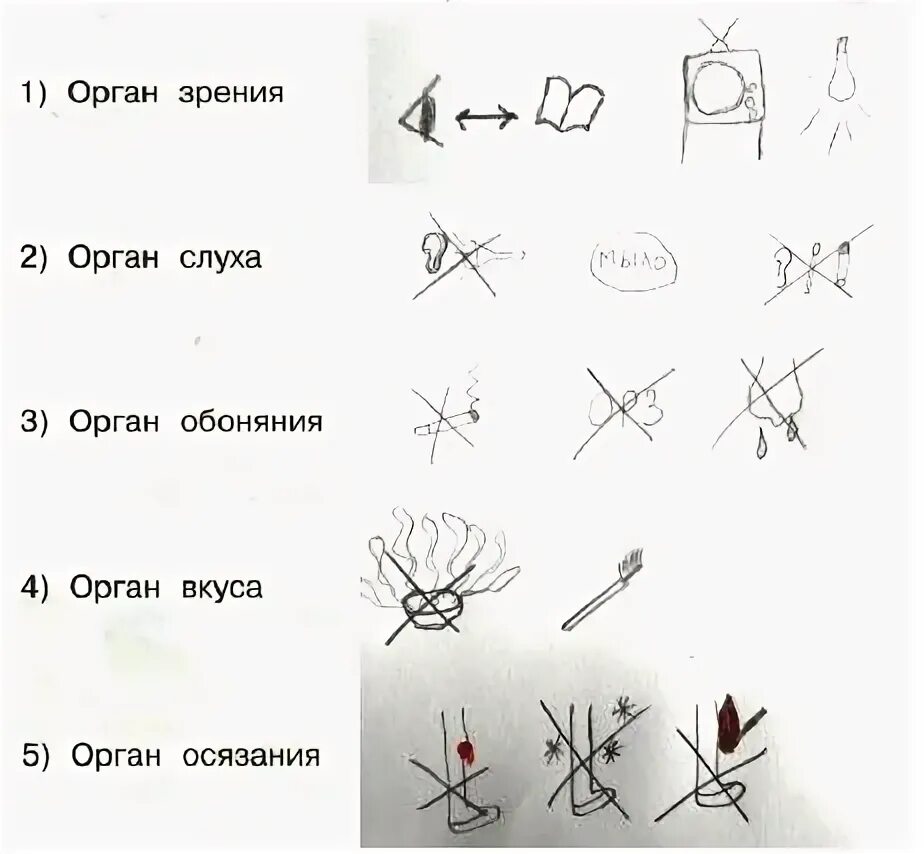 нарисуйте условные знаки правила гигиены органов чувств. нарисуйте условные знаки правила гигиены органов чувств. условные знаки по гигиене органов чувств. нарисуй условные знаки к правилам гигиены органов чувств. нарисуйте условные знаки правила гигиены органов чувств.