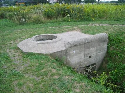 Виды дот
