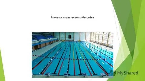 Ширина бассейна 50 м