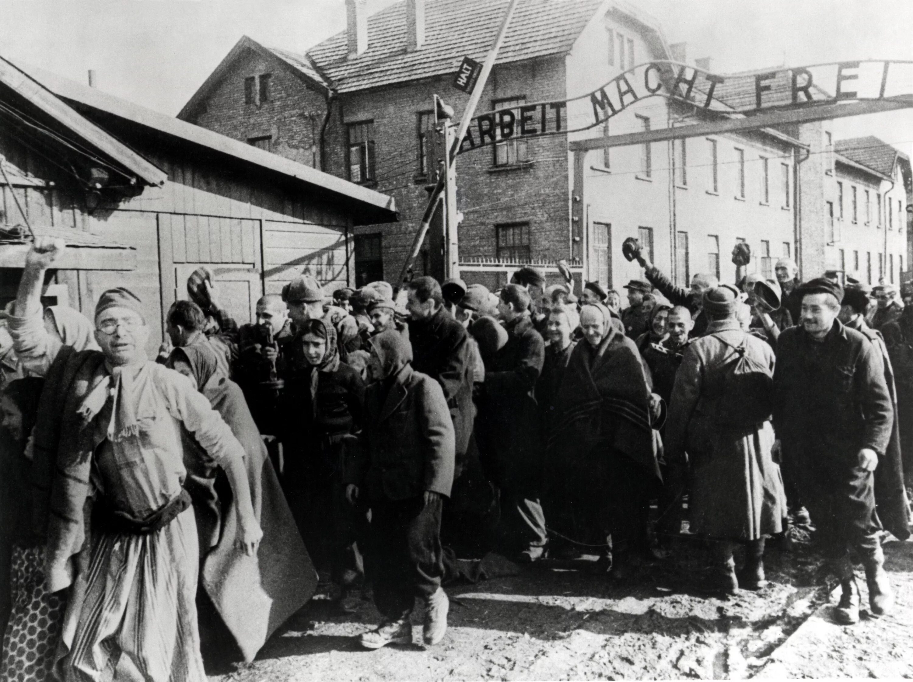 Биркенау освобождение. Освобождение узников освенцима 1945. Освобождение концлагеря освенцим красной армией. Биркенау освобождение. Освобождение узников освенцима 1945.