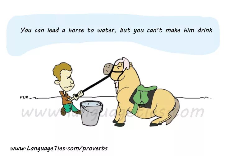 Cannot make it. You can take a Horse to the Water but you can’t make him Drink. На русском. You can take a Horse to Water but you cannot make him Drink перевод. You can lead a Horse to Water but you can't make him Drink. You can take a Horse to Water.