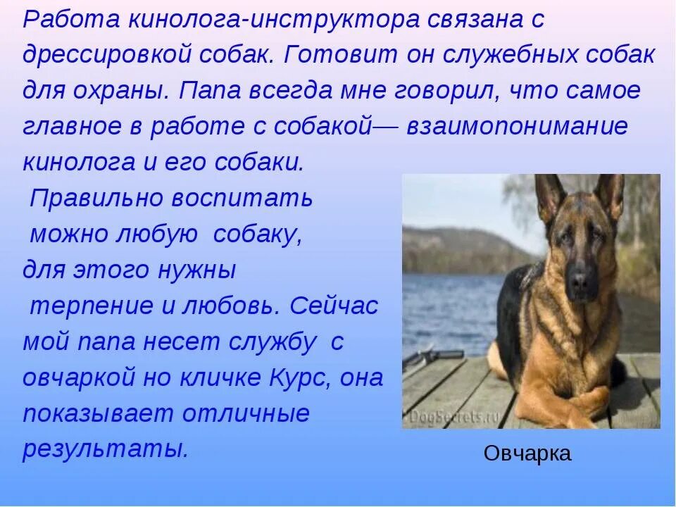 Описание собаки 5 класс русский язык. Рассказ о собаке. Проект про собак. Сочинение на тему собака. Презентация на тему собака друг человека.