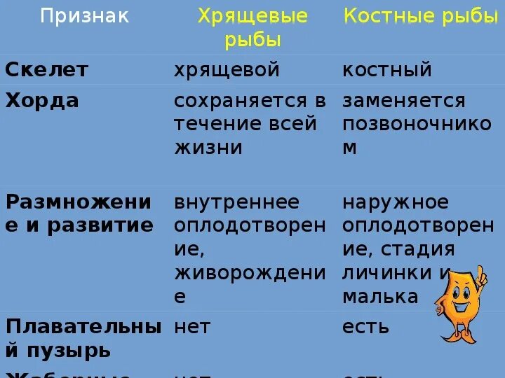 Рыба сходства и различия. Сравнительная характеристика костных и хрящевых рыб 7 класс. Таблица сравнения характеристик хрящевых и костных рыб. Сравнение хрящевых и костных рыб таблица 7 класс. Сравнение хрящевых и костных рыб таблица 7 класс биология.