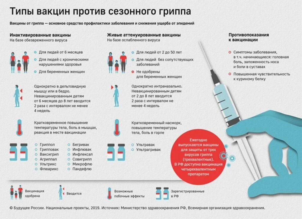 Можно делать прививку переболевшим. Вакцинация от гриппа. Прививки против гриппа проводят. Схема действия прививки. Проводила Введение вакцины.