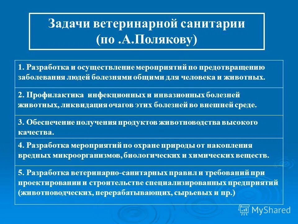 Современные методы диагностики инфекционных болезней собак. Классификация заразных болезней собак. Перечень особо опасных заболеваний животных. Заболевания у животных список. Наиболее распространенные болезни собак.