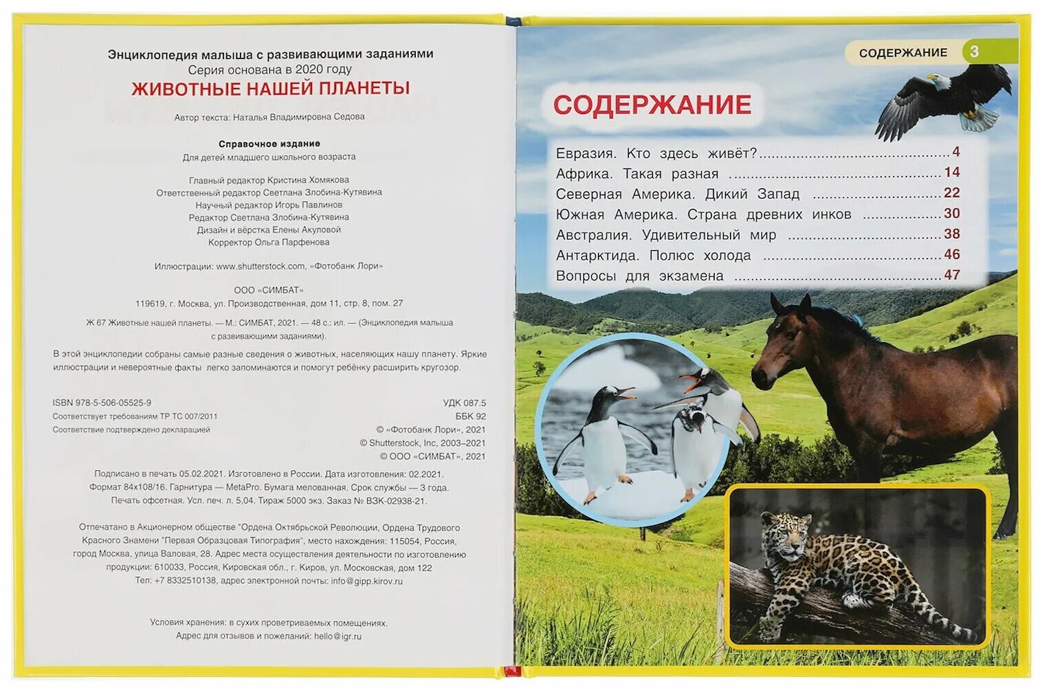 Оглавление энциклопедия для девочек. Содержание энциклопедии. Живая природа детская энциклопедия росмэн вологдина. Книга детская энциклопедия росмэн живая природа. , березина м.