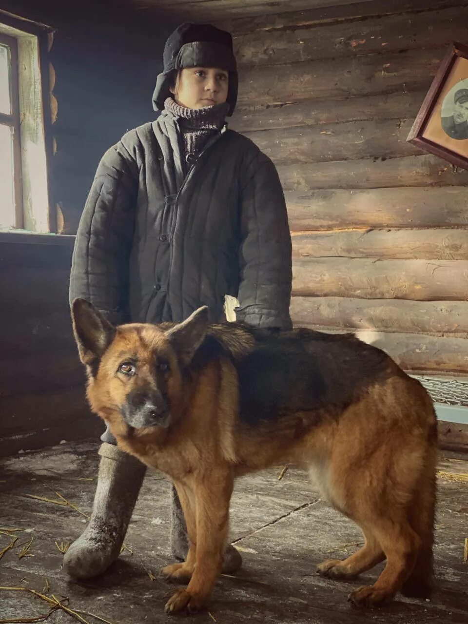Кто играет главную роль в фильме овчарка Доброе кино о грустной истории: в прокат выходит фильм "Пальма" Авторадио Санк