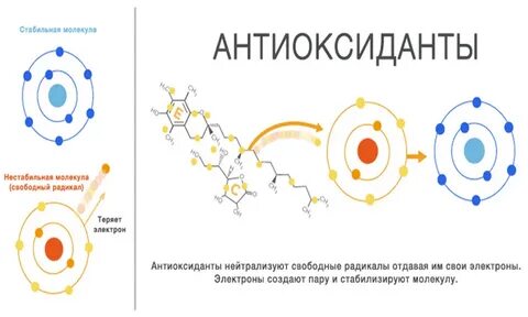 Нейтрализовать свободные радикалы