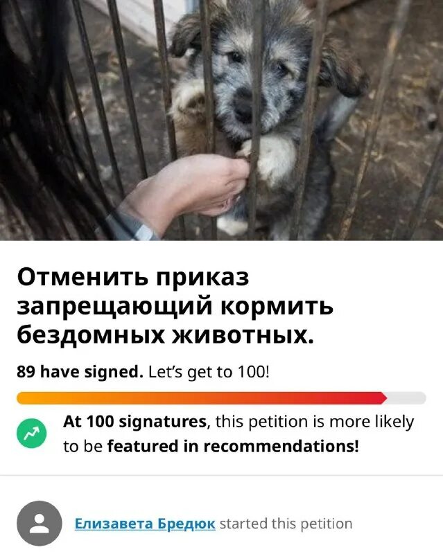 Численность бездомных животных. Объявление не кормить птиц. Сервис с животными. Петиция о бродячих собаках. Отлов бродячих животных.
