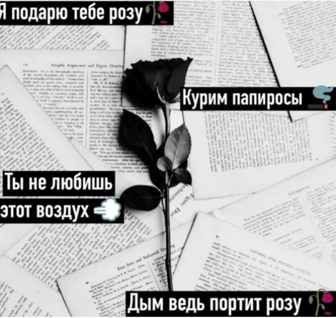 Кто поет песню я подарю тебе розы. Я подарю тебе розу курим папиросы. Песня я подарю тебе розу курим папиросы. Я подарю тебе розу текст.