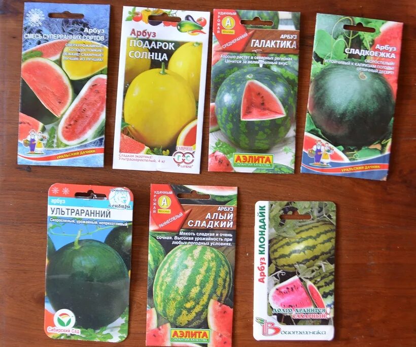 ультраранний сорт арбуза. арбуз ультраранний описание сорта фото отзывы. арбуз ультраранний русский огород. арбуз ультраранний 10шт (сиб сад). ультраранний сорт арбуза.
