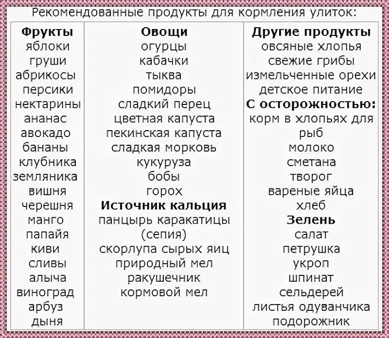 Таблица питания улиток ахатин. Чем кормить улиток ахатин список. Чем можно кормить улиток ахатин. Список продуктов для ахатин
