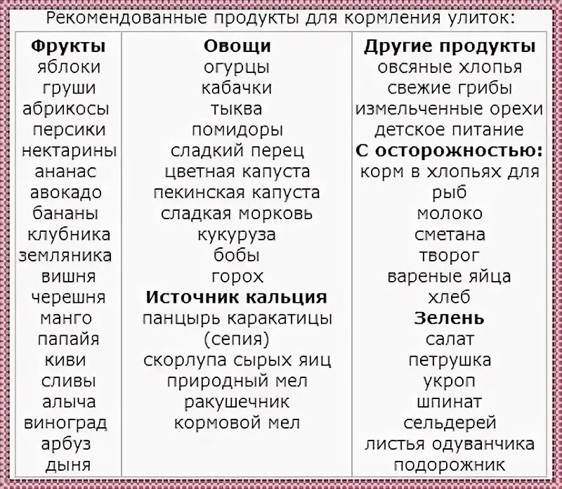 Таблица питания улиток ахатин. Чем кормить улиток ахатин список. Чем можно кормить улиток ахатин. Чем кормить ахатину таблица. Кроликам можно перец