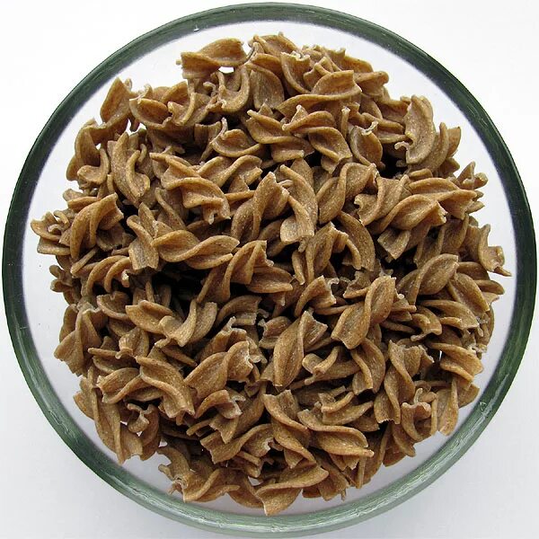 цельные макароны что это. макароны из цельного зерна. вермишель длинная макфа 500г. макароны из цельного зерна.