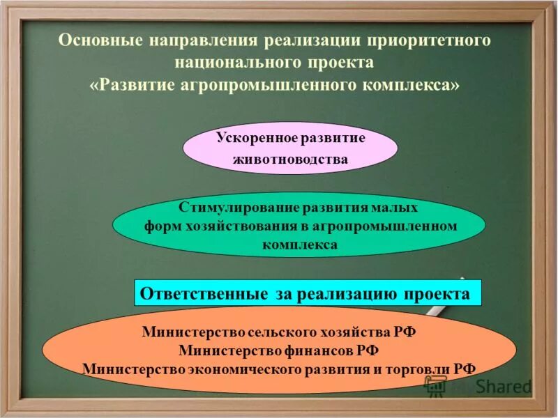 Реализация приоритетных направлений. Направления реализации национальных проектов. начало реализации четырёх приоритетных национальных проектов. национальный проект апк 2005. приоритетные национальные проекты развитие апк цели.