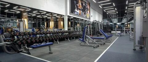 Спортлайф ул савушкина 141 фото