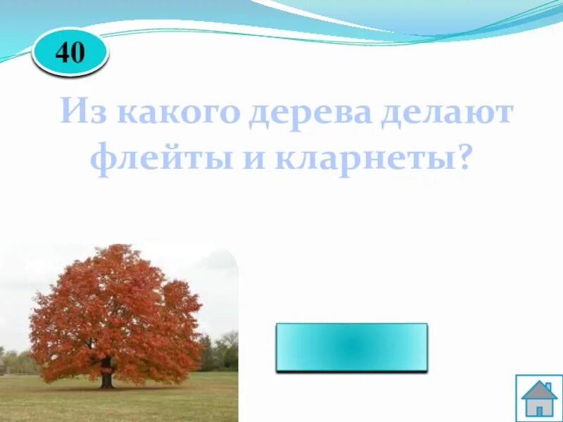 Из какого дерева делают деньги. Из каких деревьев что делают. из какого дерева делают тетради. дерево проводит звук. из какого дерево делают призиотив.