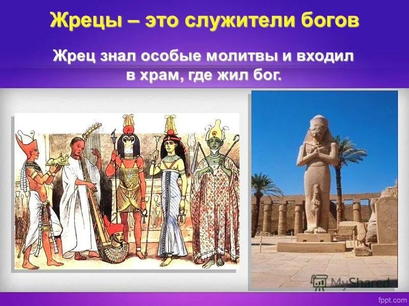 Главного жреца египтяне считали живым богом. Религиозное жречество древнего Египта. Одежда египтян в древнем Египте жрецов. Храмы и жрецы древнего Египта. Боги и жрецы древнего Египта.