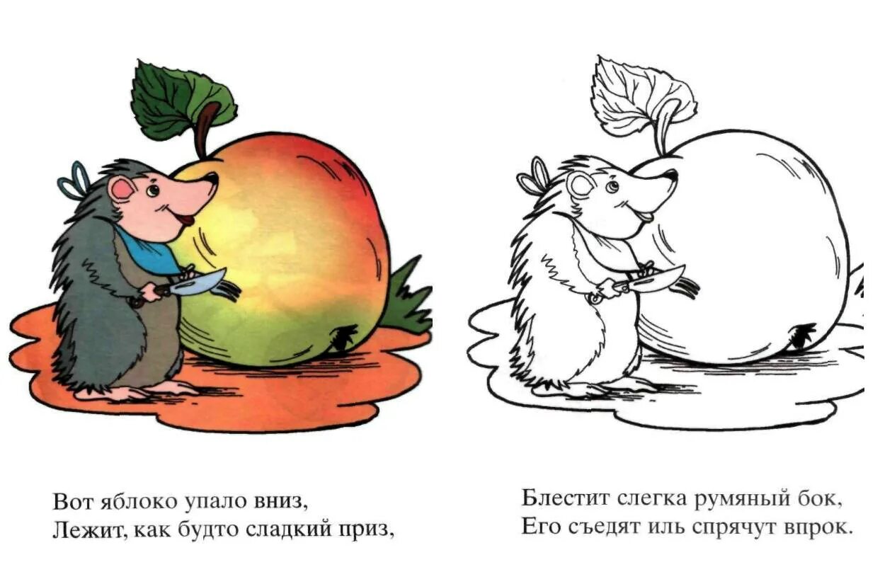 Яблоки не падают никогда отзывы. Яблоко с ветки упало. Упало яблоко стихотворения. С ветки яблоко упало и по саду побежало. С ветки яблоко упало и по саду побежало стих.