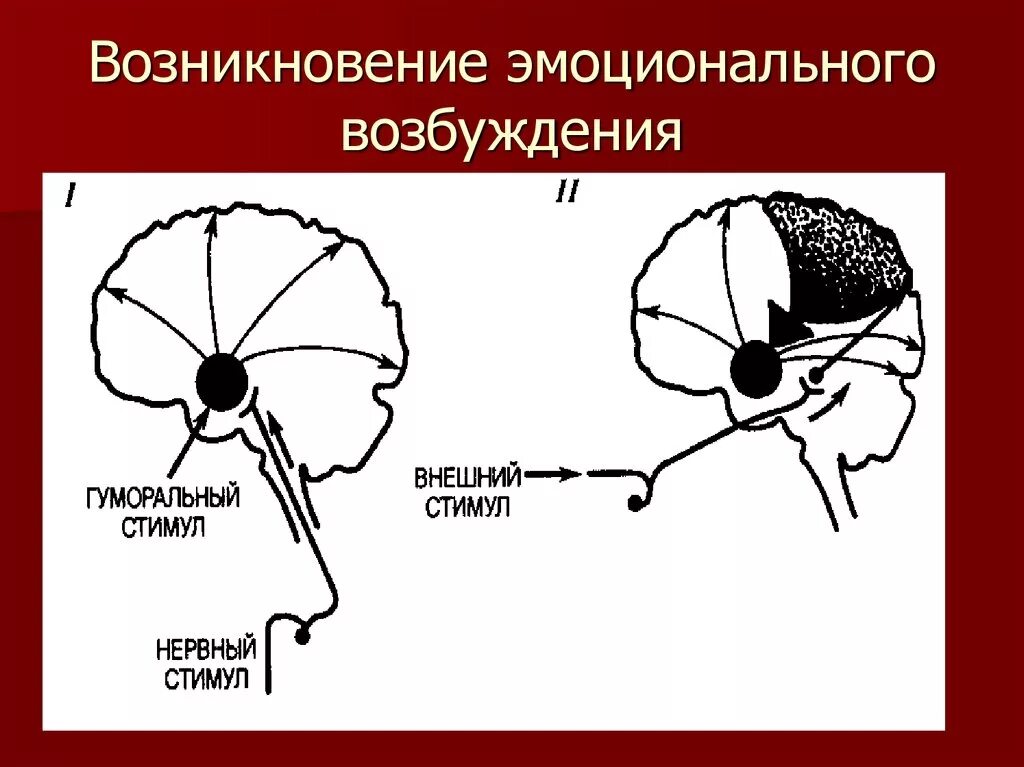 Эмоциональная возбудимость. Эмоциональное возбуждение это в психологии. Уровень эмоционального возбуждения. Состояние эмоционального возбуждения. Эмоционально возбуждена